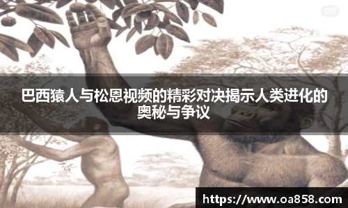 yy易游体育